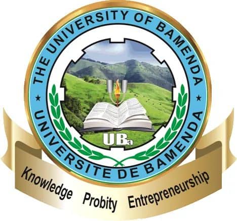 THE UNIVERSITY OF BAMENDA 